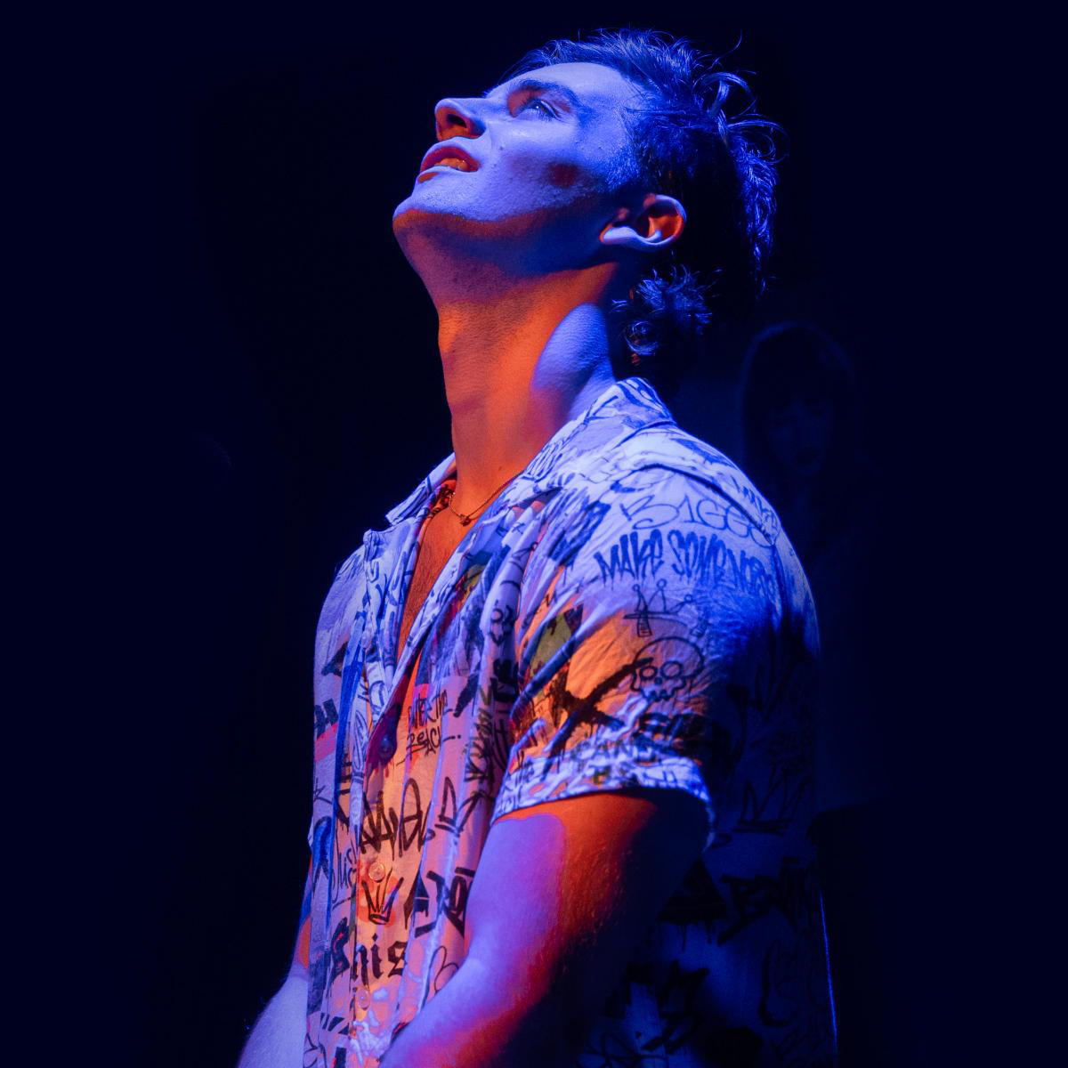 Image of Arthur Hull - Flop! the musical